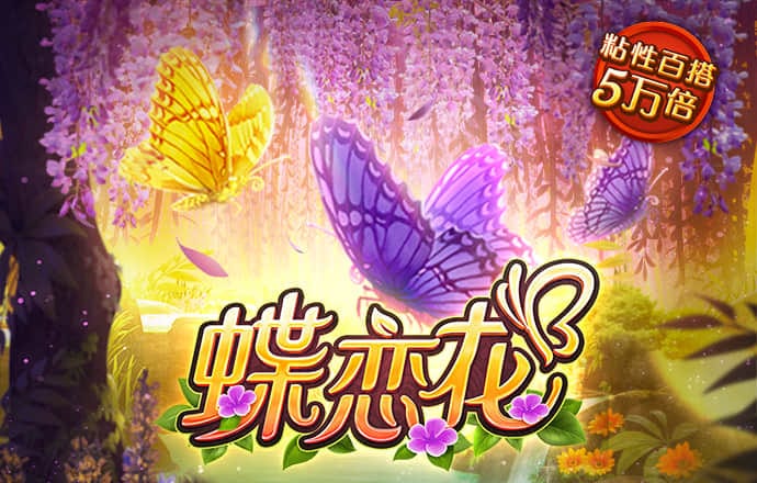 hb火博体育官网